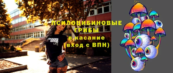 2c-b Беломорск
