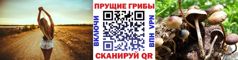 Галлюциногенные грибы ЛСД Балашов